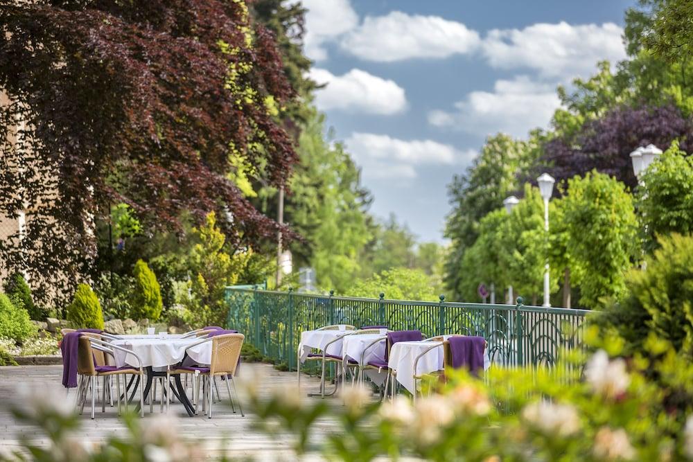 Villa Regent Spa & Wellness Mariánské Lázně المظهر الخارجي الصورة