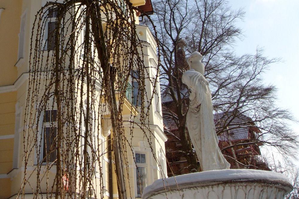 Villa Regent Spa & Wellness Mariánské Lázně المظهر الخارجي الصورة